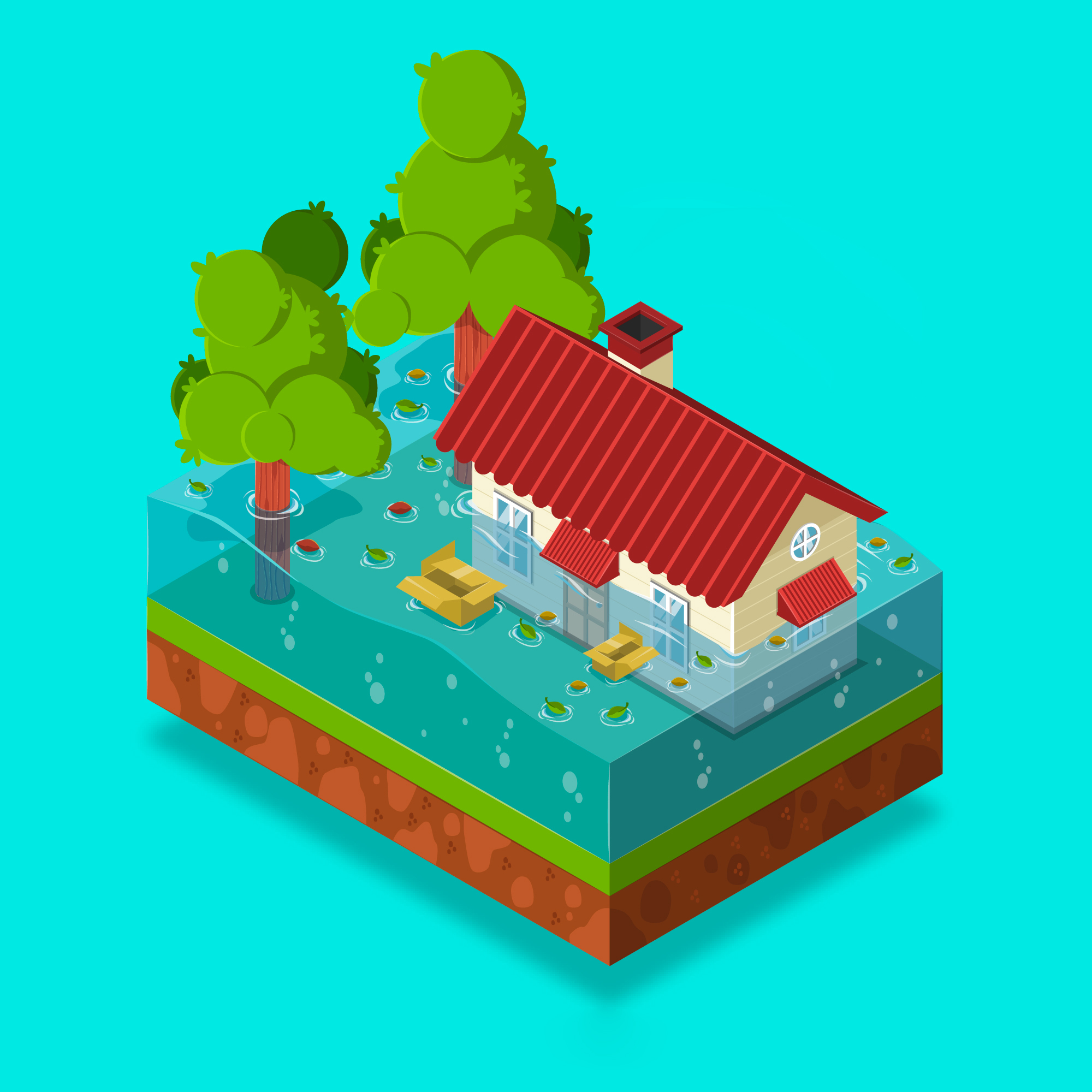 Flood Certification in Real Estate