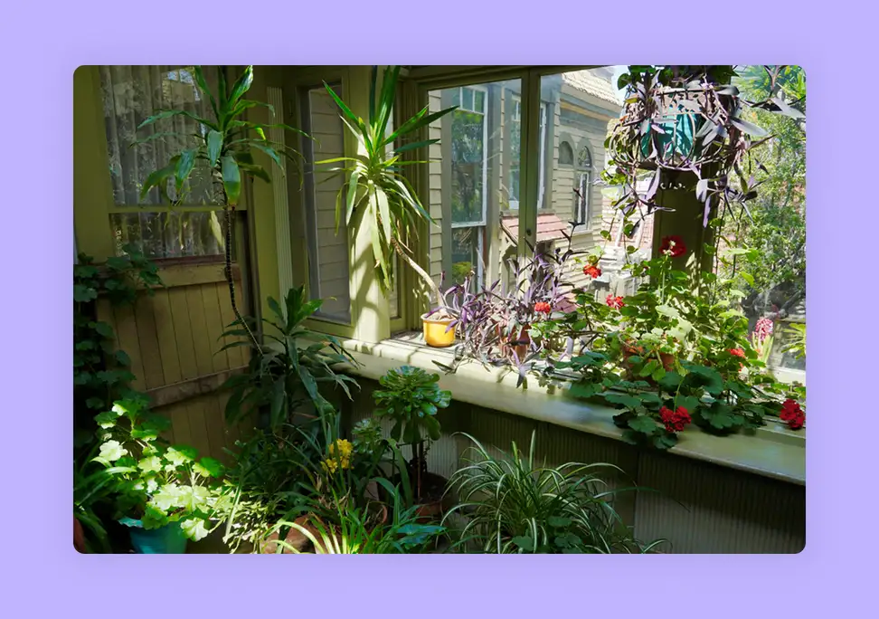 Lush indoor garden room featuring tropical plants. 