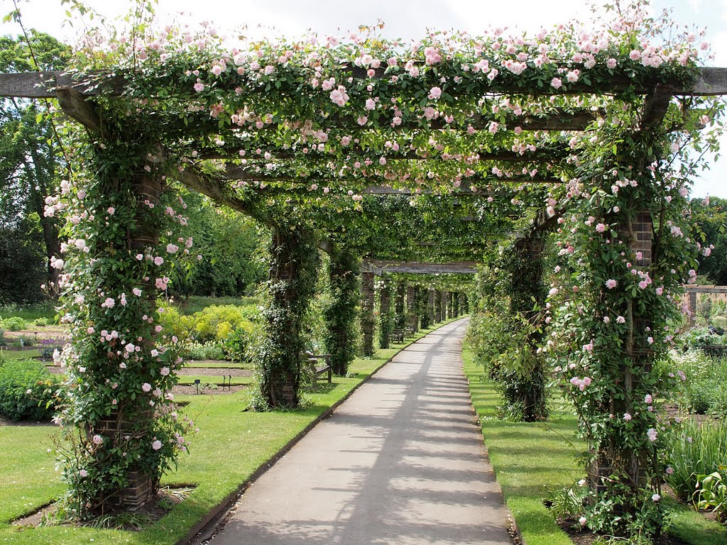 pergolas garden