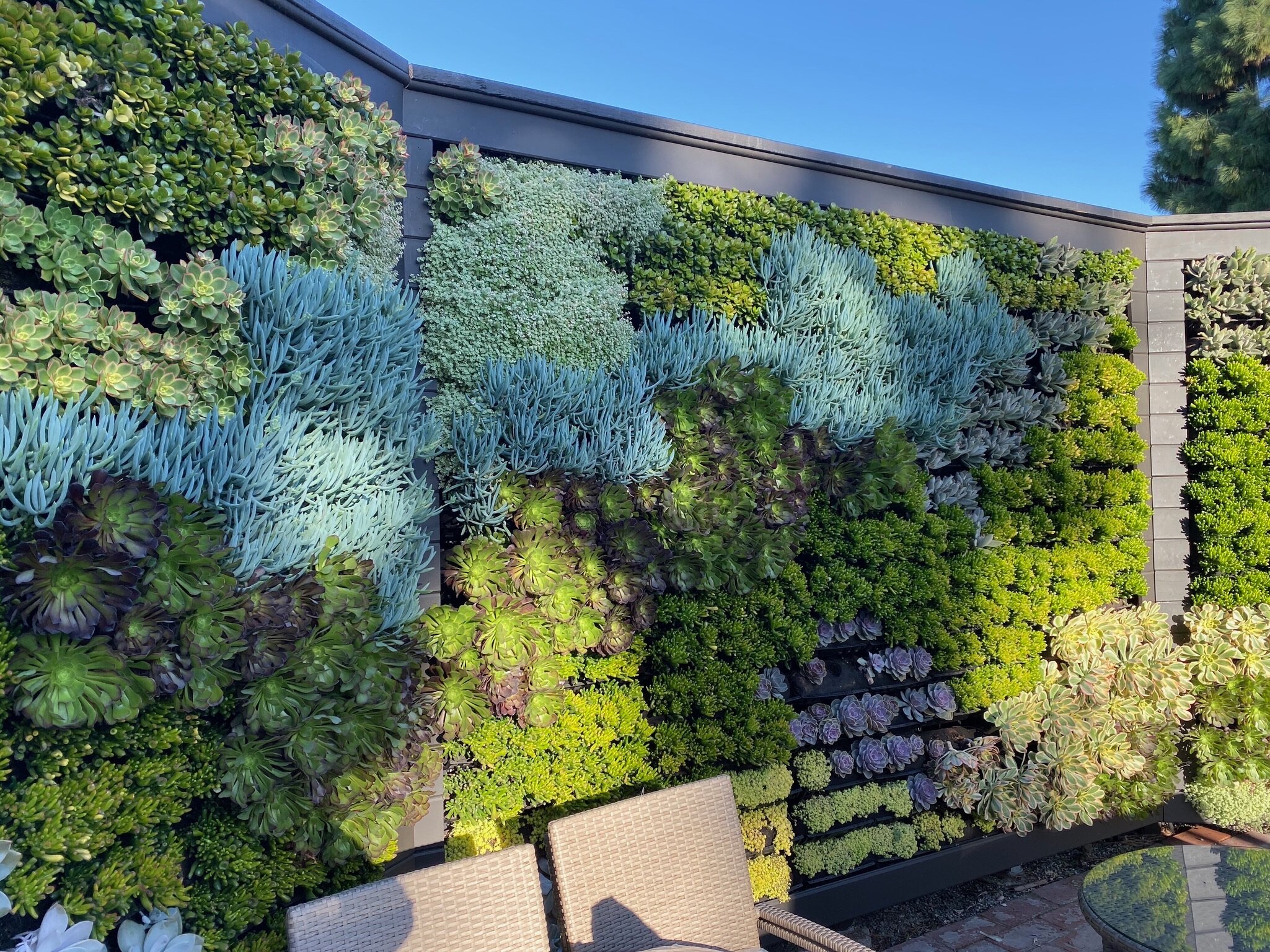 vertical garden