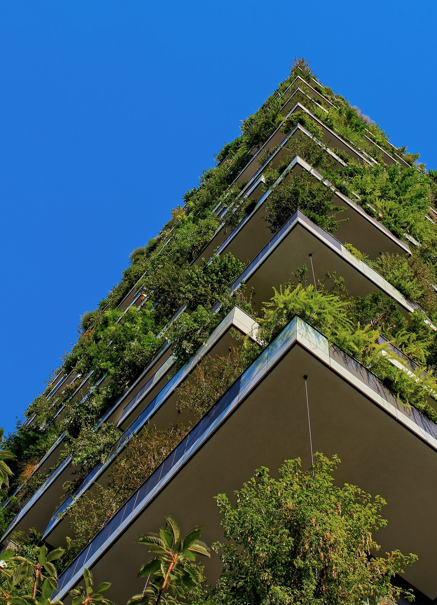 improve environmental health