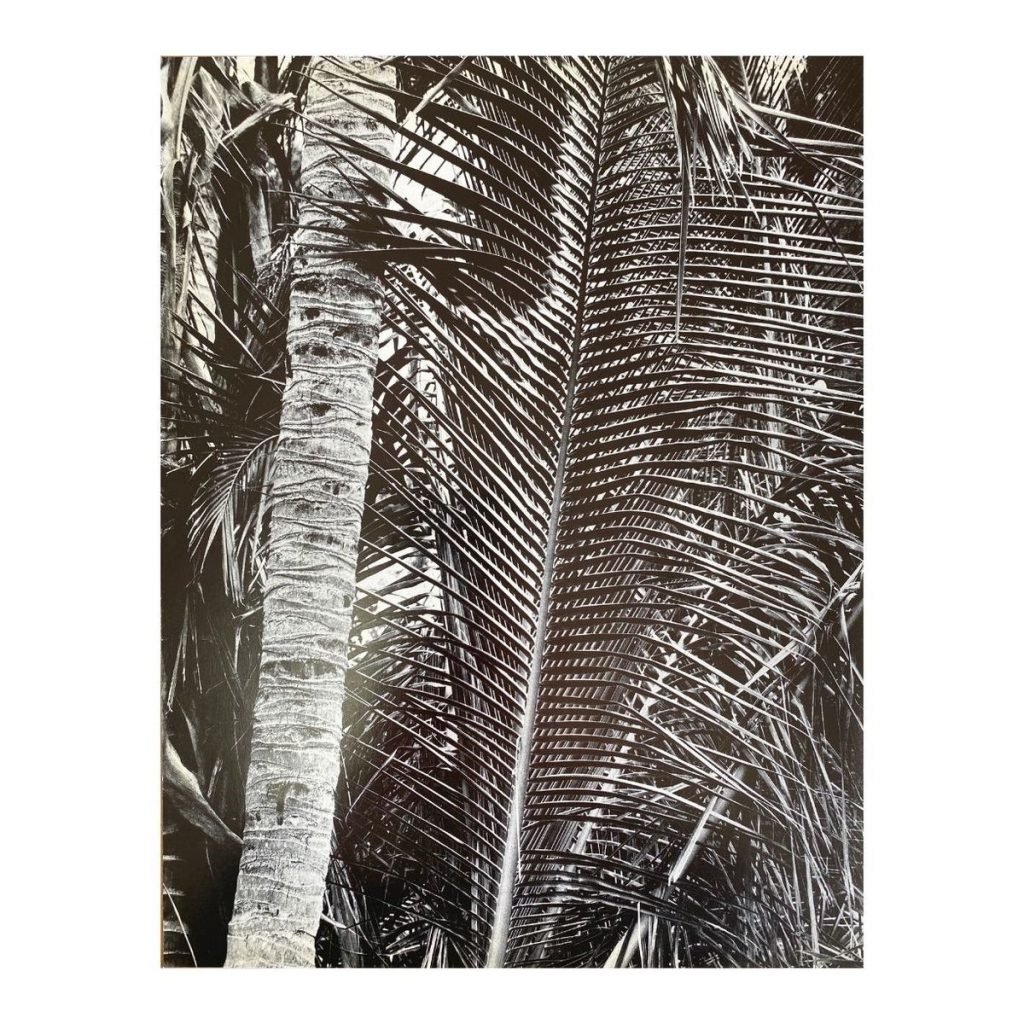 posterchilddprints