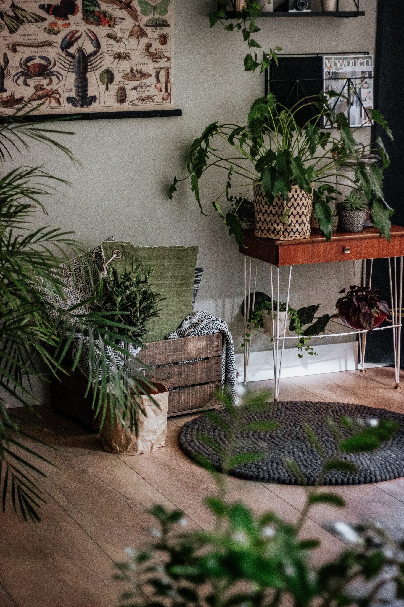 sustainability in interior design
