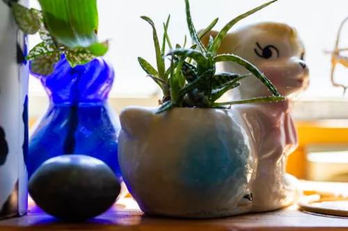 Displaying All Your Tchotchkes