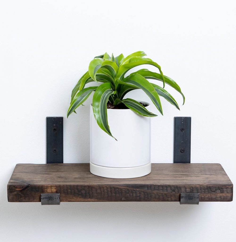 houseplants - dracaena