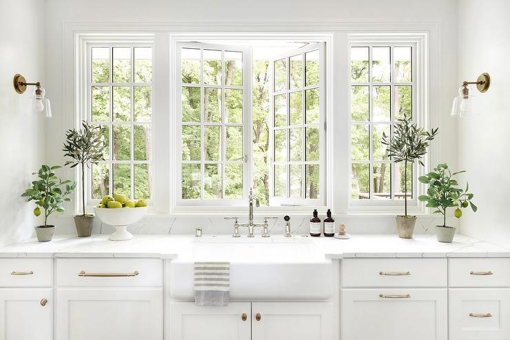 plant kitchen greenhouse window
