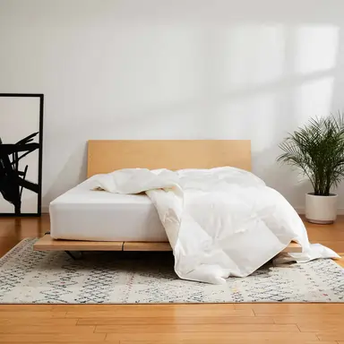 what is down comforter