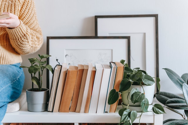 Indoor-Plants-for-Budget-Home-Decor