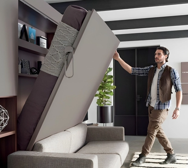 sofa-bed-and-wall-bed